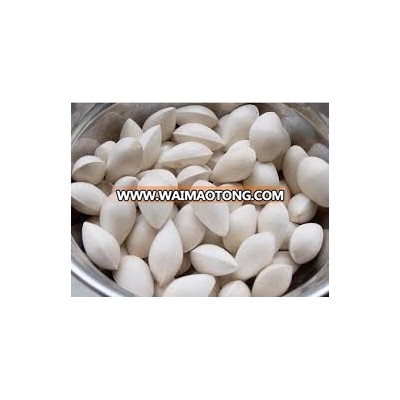 Best Quality Ginkgo Nuts